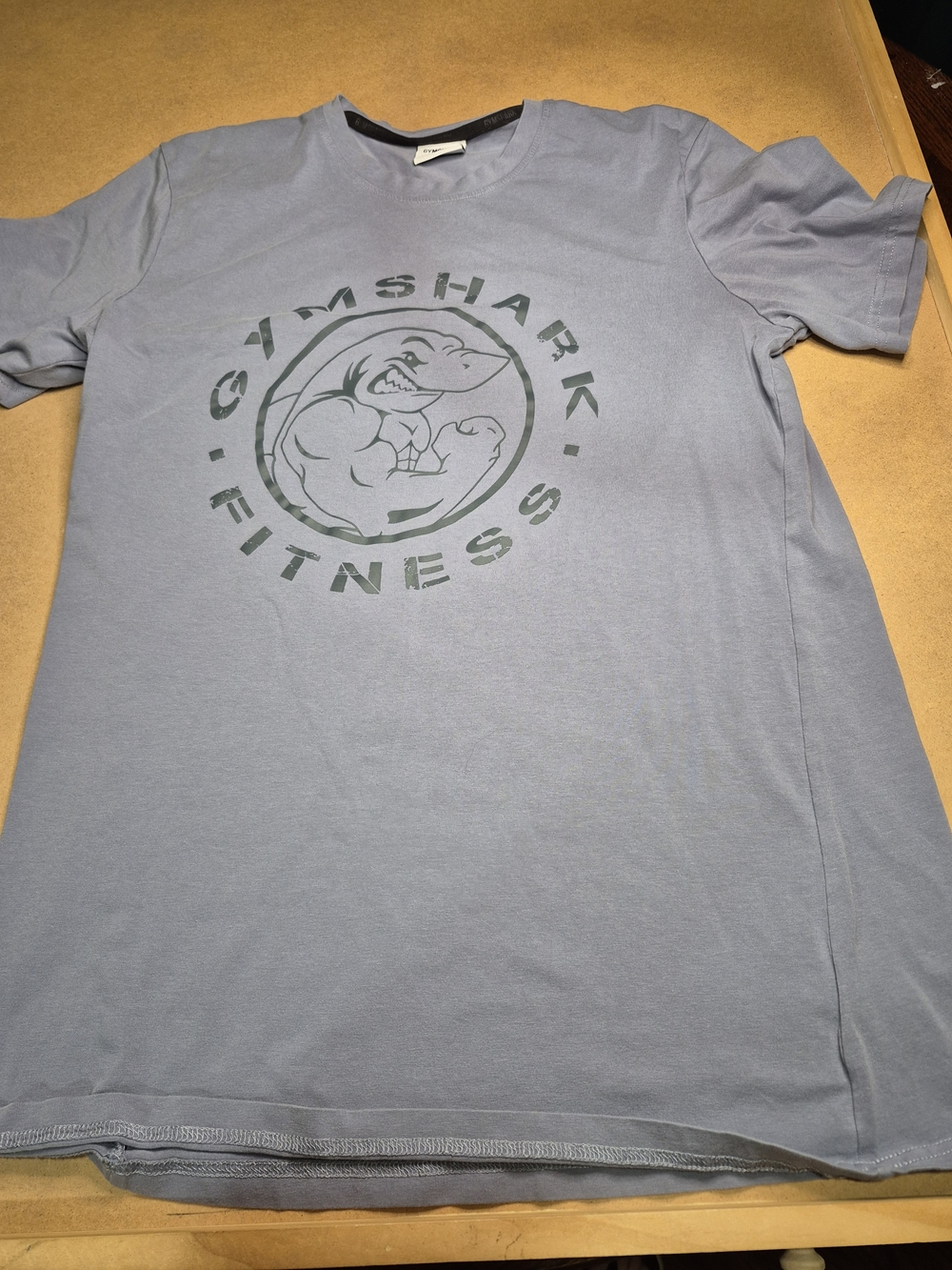 Gymshark Men’s Light Blue Graphic Fitness T-Shirt 4143/5